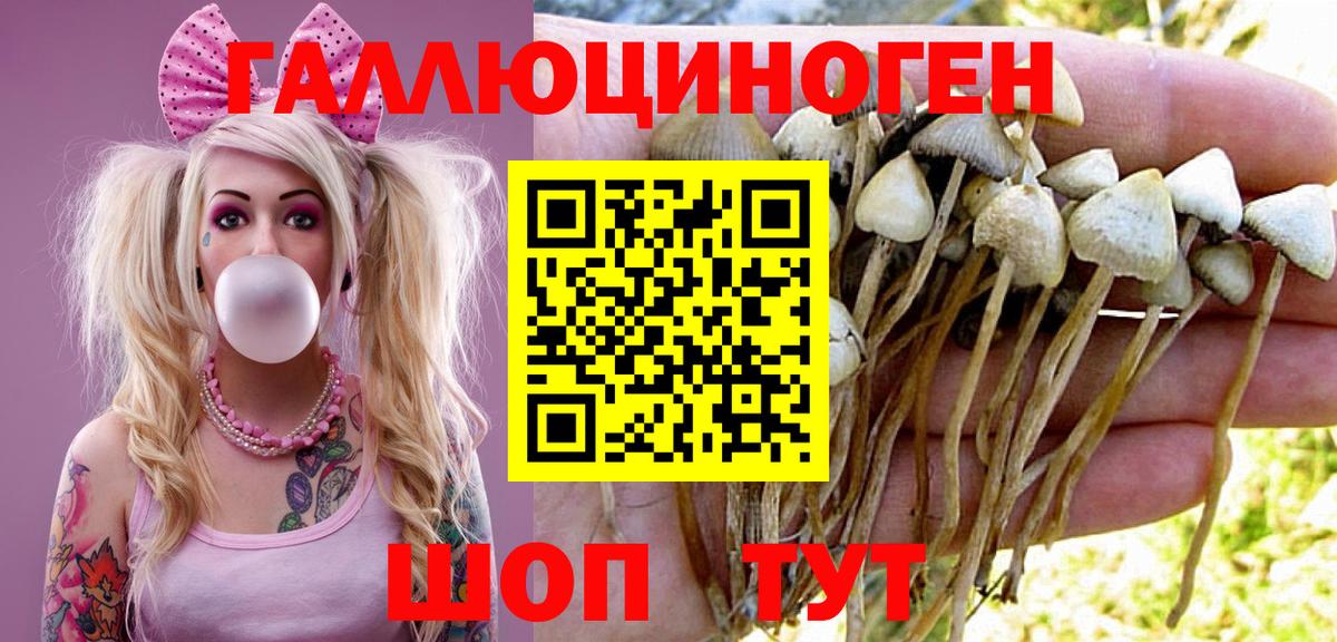 Псилоцибиновые грибы прущие грибы Ишимбай