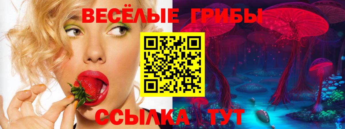Галлюциногенные грибы мицелий  Вход с VPN  Ишимбай 